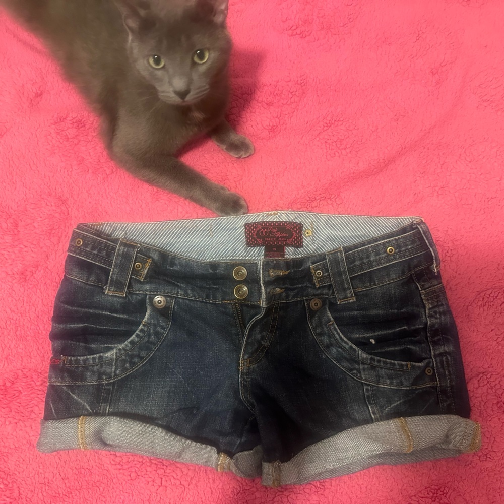 Retro Denim Shorts
